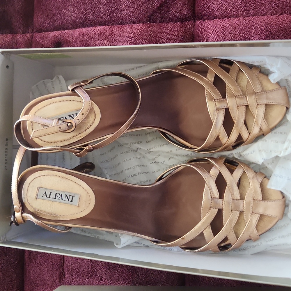 Alfani Bronze Heels